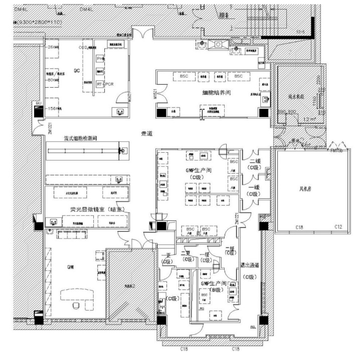 干細(xì)胞實驗室平面布局圖